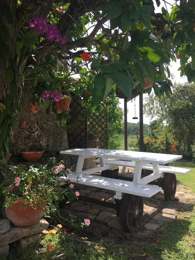 Villa du Moulin de Saint Félix Le Gosier